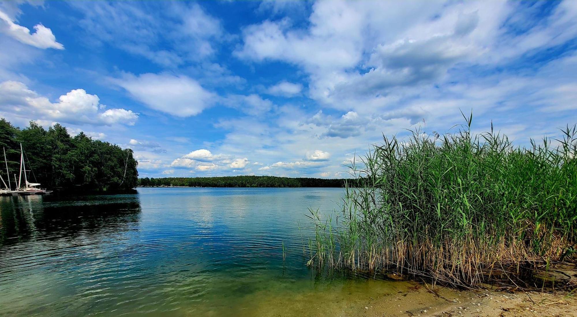 Ferienwohnung Seeglueck Im Oberpfaelzer Seenland Schwandorf Zewnętrze zdjęcie